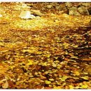 문배농장 이미지