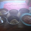 황토와통나무별장 이미지