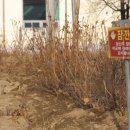 동면 게이트볼장 이미지