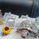 씨유(CU)도봉해등로점 | 도봉구카페 서울타로 열린문타로카페