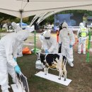 입암면복지회관 이미지