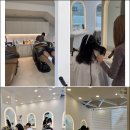 황금2길 | 인생 머리 찾기 대작전! 순천미용실 라포르헤어 순천 성동점 방문 후기