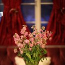 해 질 녘 클래식 산책 이미지