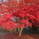 철원문화복지센터 이미지