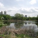 보라매공원 이미지