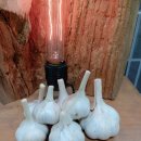 상생의터한의원 이미지