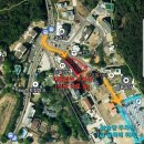 디올리앤 이미지