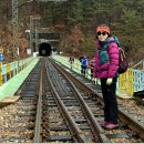 낙동강세평하늘길 이미지