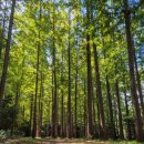 아름다운 숲길 화장실 이미지