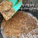 흰돌농장 이미지