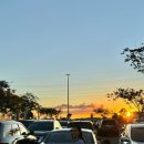 고소영 카카오 검색결과