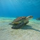 디럭스투어 주식회사 이미지