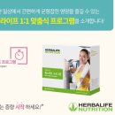 시흥허벌라이프