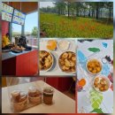 커피에 반하다 파주야동점 | ​[파주 운정 맛집] 스타필드 빌리지 신상 ‘쫀득네모네’ 불닭마요&뿌링클 감튀에 반하다