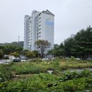 그그들 ‘한 끼의 행복’(Ⅱ-㊼)-돈 수백 관저점 이미지