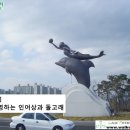 수영교 이미지