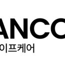 162 이미지
