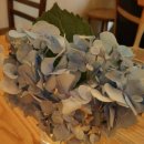 퐁당(Pong dang) 이미지