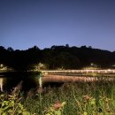 개밥주는여자 이미지