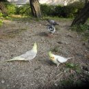 오락지존 이미지