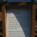 동래정씨 약사불 이미지