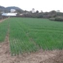 세븐힐공인중개사사무소 이미지