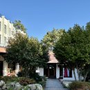 푸른소리오션 | 여수 돌산 카페_ 제주 감성 가득한 오션뷰 카페 무슬소리