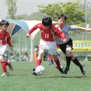 실버미용미장원 네이버블로그