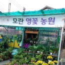 수인농원 이미지