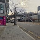 푸른가정의학과의원 이미지