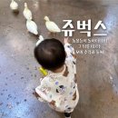 서창남순환로216번길1L | [인천 서창 실내동물원] 쥬벅스, 동물들이 돌아다녀요! 아이와 가기 좋은 교감형 체험