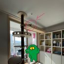 너와나,묘연 | 퇴근길에 냥줍한 탄이의 입양후기2