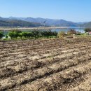 유진부동산중개 이미지