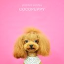 삐삐애견샵 이미지