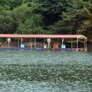 중리낚시터 이미지