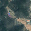 조은경매공인중개사사무소 이미지