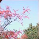 수련산방 이미지