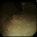 태전박내과의원 이미지