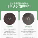 언제나한의원 이미지