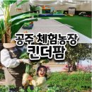 우리찬집 | 공주 킨더팜 대전근교 아이랑 체험농장 내돈내산방문후기