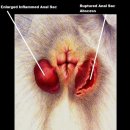정겨운동물병원 이미지
