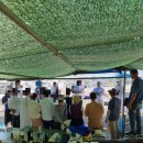 정진명축사 이미지