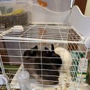 고령카써비스 | [오키나와] 저렴하고 친절한 ‘KS Rent A Car(KS렌터카)’ 후기!