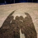 STAY. 보성 이미지