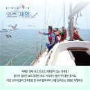 전곡리어촌체험휴양마을 이미지