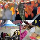 무이숲 스테이지 | 경남 가을 축제 의령 가볼만한곳 리치리치페스티벌 부자축제