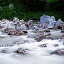 신성농장 이미지