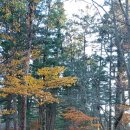 변산초교 이미지