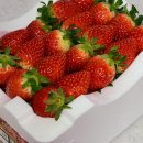 여주-1142 이미지