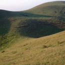 국립제주박물관 이미지